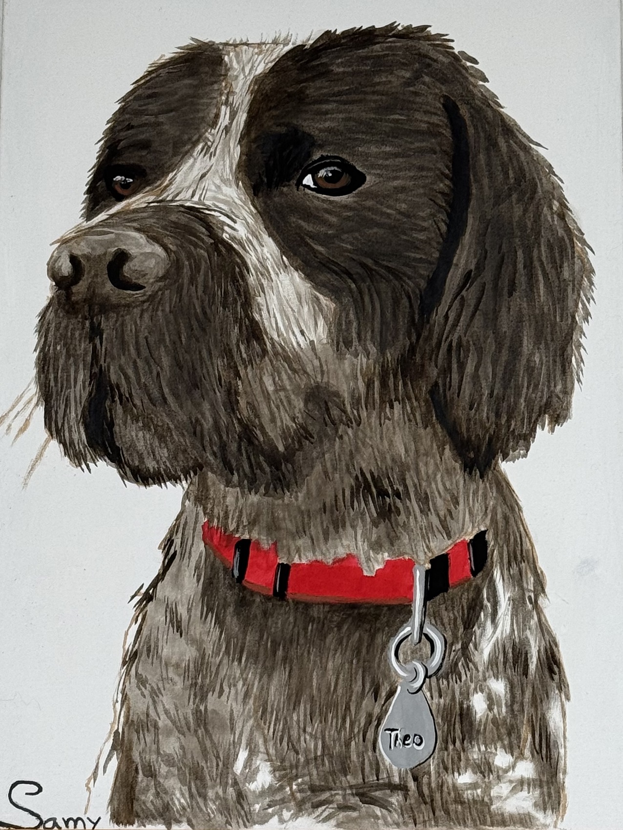 Samantha Camin 2 web