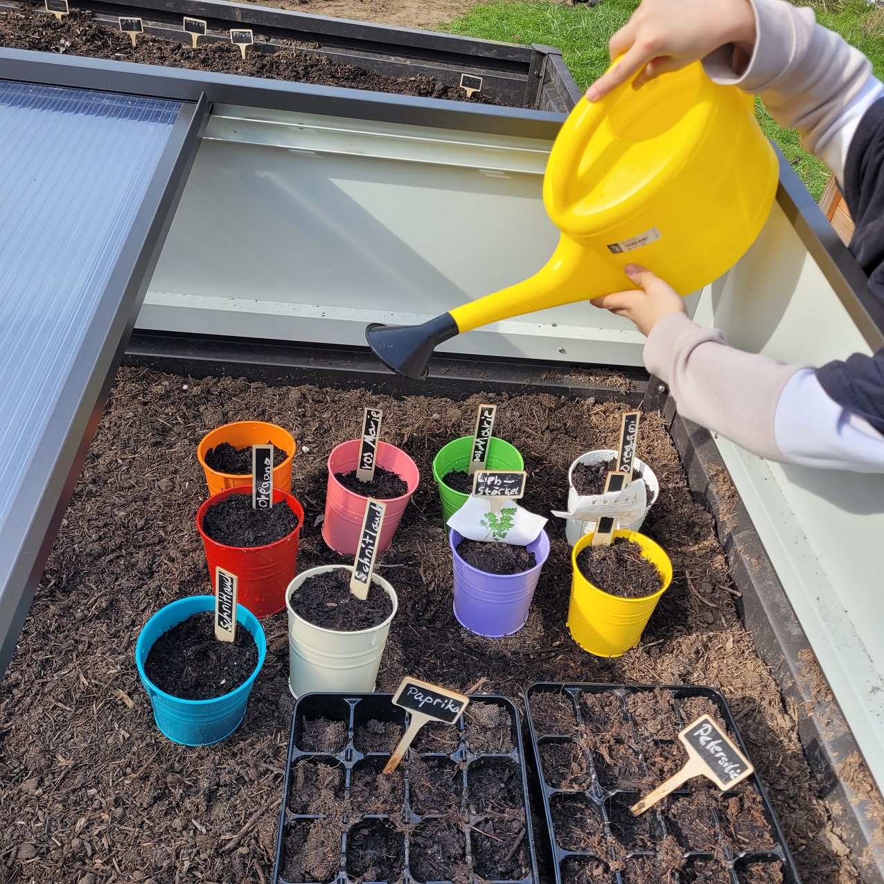 image 2000 2c758a55b3f57aa3d0c7c30cf36e9b61 web