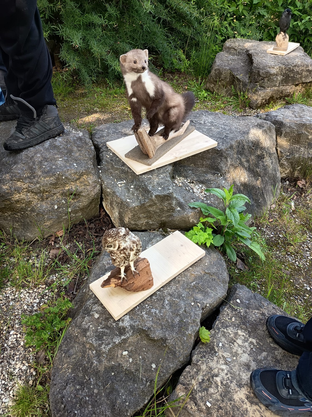 01b26582 51f3 48c2 913c 7f67c07537fe web