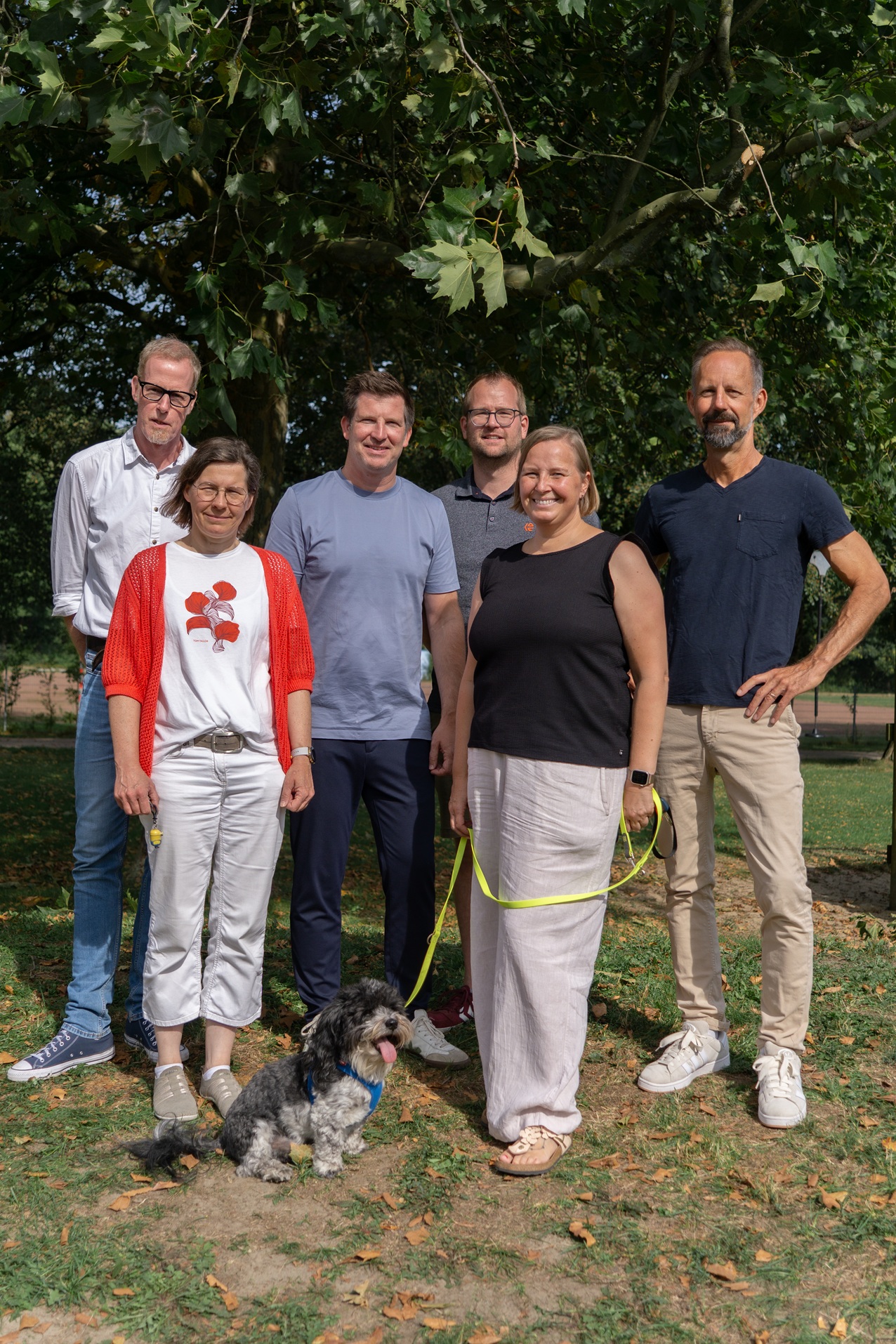 SL Team web